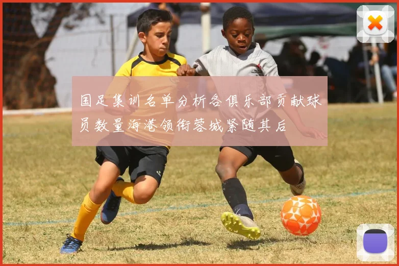 国足集训名单分析各俱乐部贡献球员数量海港领衔蓉城紧随其后